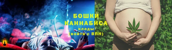 индика Сафоново
