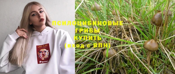 прущие крисы Саяногорск