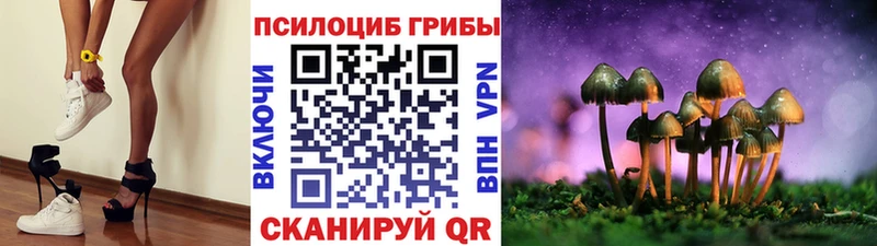 закладка  Камешково  Галлюциногенные грибы Psilocybe 